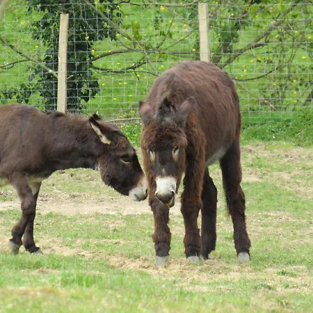 منزل للإقامة Domaine Des Fees La Gaubretiere
