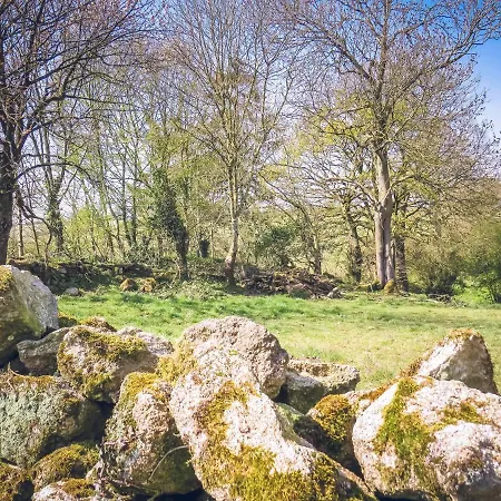 Domaine Des Fees