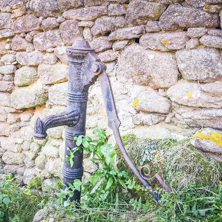 Domaine Des Fees * La Gaubretiere