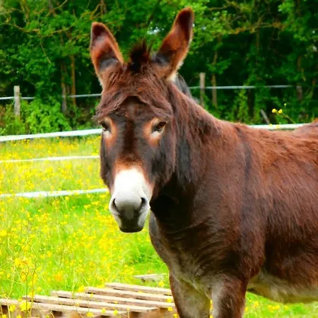 منزل للإقامة Domaine Des Fees