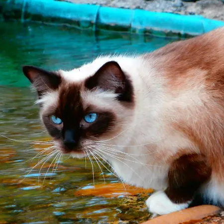 Domaine Des Fees * La Gaubretiere