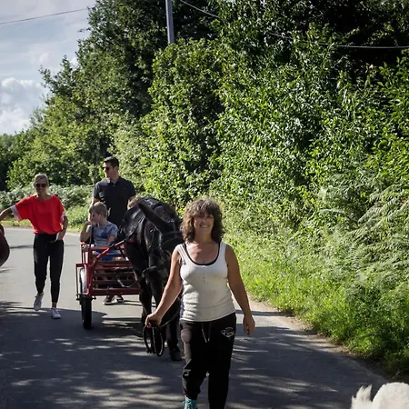 منزل للإقامة Domaine Des Fees La Gaubretiere