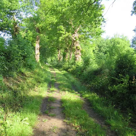 Domaine Des Fees * La Gaubretiere