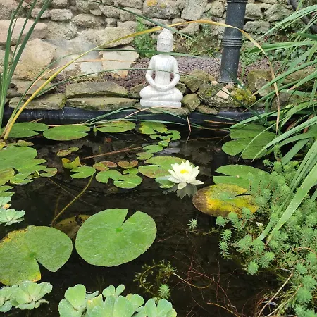 منزل للإقامة Domaine Des Fees La Gaubretiere