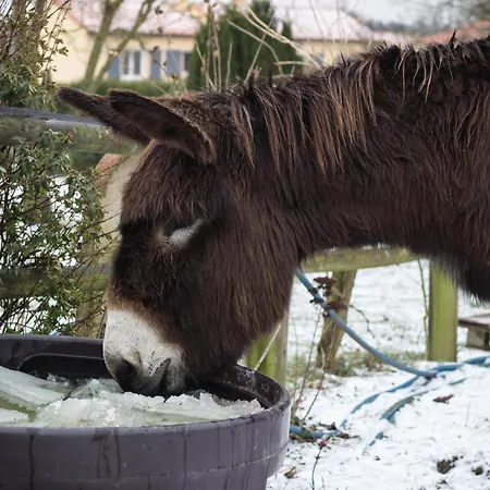 Séjour chez l'habitant Domaine Des Fées La Gaubretiere