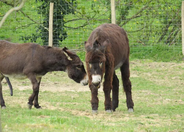Alloggio in famiglia Domaine Des Fées La Gaubretiere