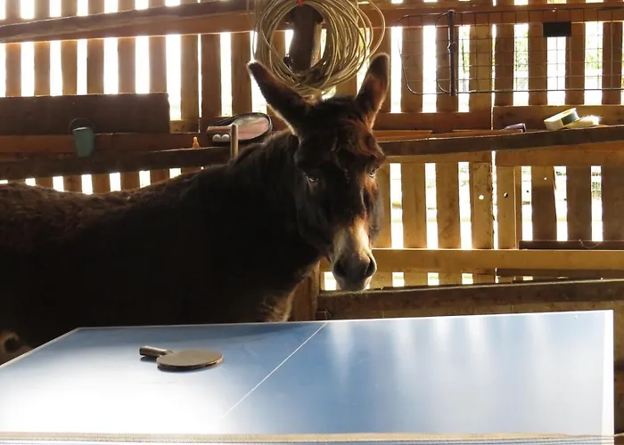 Domaine Des Fées La Gaubretiere