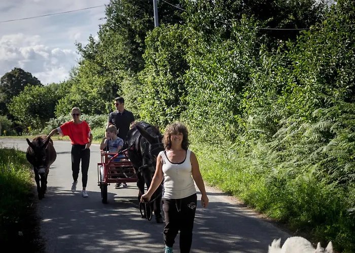 Accommodatie bij particulieren Domaine Des Fees La Gaubretiere