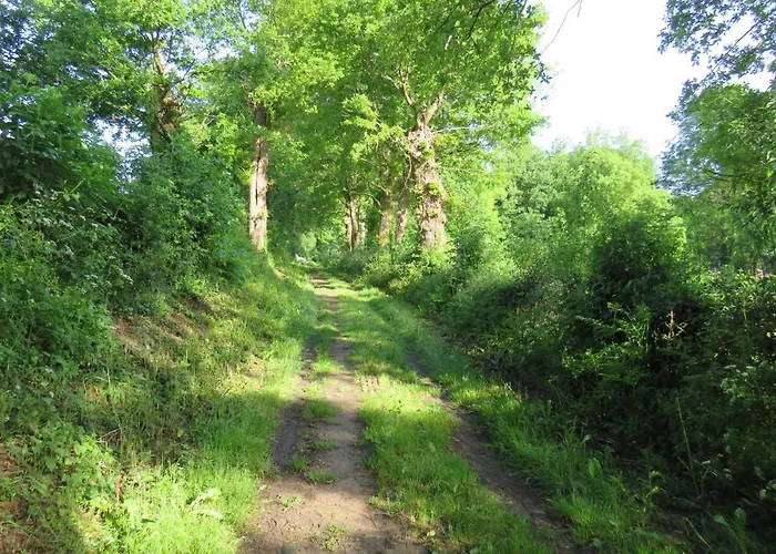 Domaine Des Fees * La Gaubretiere