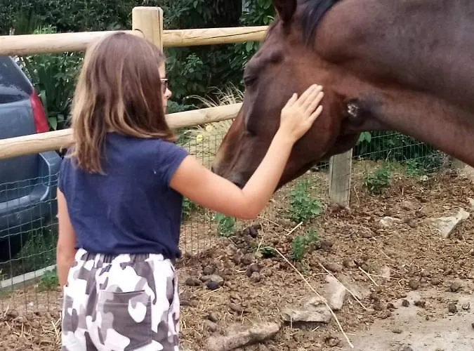 Alloggio in famiglia Domaine Des Fées