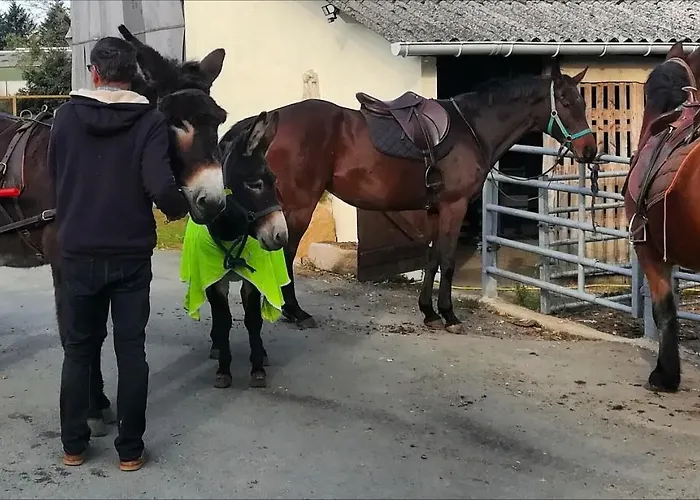 Alloggio in famiglia Domaine Des Fées La Gaubretiere