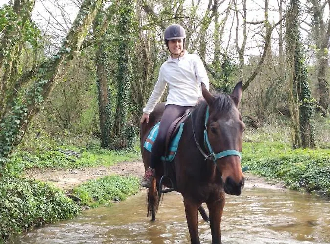 Domaine Des Fees Accommodatie bij particulieren