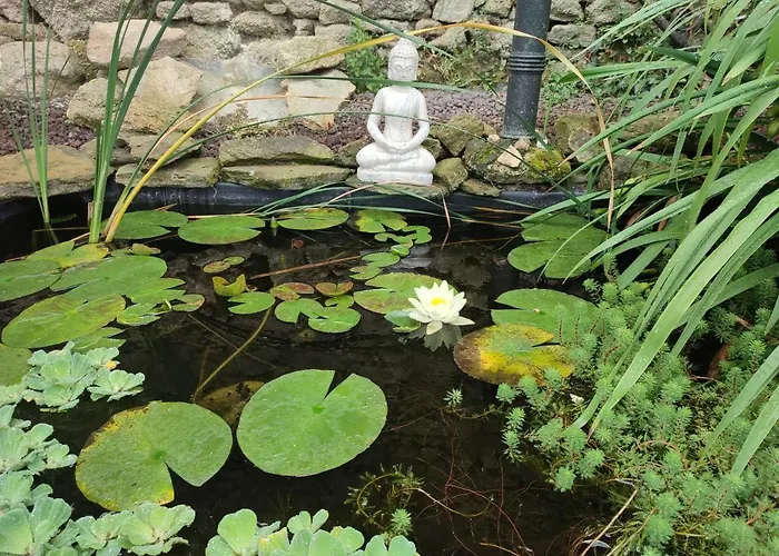 Accommodatie bij particulieren Domaine Des Fees La Gaubretiere